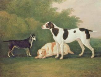 Three Dogs in a Landscape | Obraz na stenu