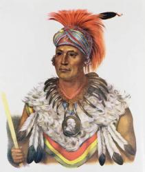 Wapella or the Prince Chief of the Foxes, 1837, illustration from 'The Indian Tribes of North America, Vol.2', by Thomas L. McKenney and James Hall, pub. by John Grant (colour litho) | Obraz na stenu