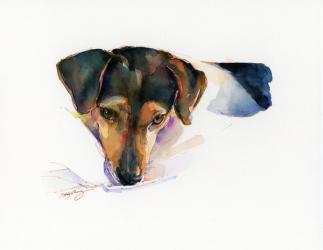 Scout portrait, 2015, (watercolor) | Obraz na stenu