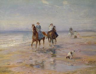 A Ride on the Beach, Dublin | Obraz na stenu