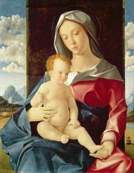 Madonna and Child, c.1510 (oil on board) | Obraz na stenu