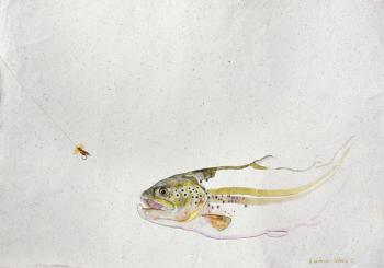 Trout chasing a fisherman's fly (mixed media) (1991) | Obraz na stenu