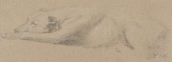 Study of a Sleeping Dog (black chalk on buff paper) | Obraz na stenu