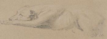 Study of a Sleeping Dog (black chalk on buff paper) | Obraz na stenu