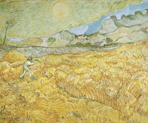The Harvester (oil on canvas) | Obraz na stenu