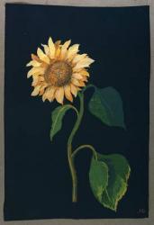 Sunflower (paper collage) | Obraz na stenu