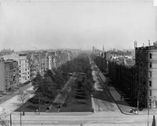 Commonwealth Ave., Boston, Massachusetts, c.1904 (b/w photo) | Obraz na stenu