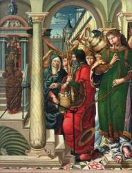 The Presentation of the Virgin in the Temple, 1519 (panel) | Obraz na stenu