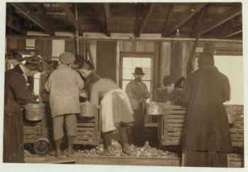 10 year old Mike Murphy, 7 year old Annie Healy and 10 year old Ross Healy (who's been working for 2 years) in the shucking shed at Alabama Canning Co, Bayou La Batre, Alabama, 1911 (b/w photo) | Obraz na stenu