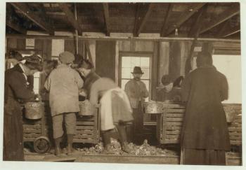 10 year old Mike Murphy, 7 year old Annie Healy and 10 year old Ross Healy (who's been working for 2 years) in the shucking shed at Alabama Canning Co, Bayou La Batre, Alabama, 1911 (b/w photo) | Obraz na stenu