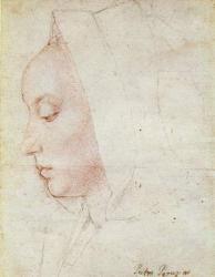 Profile of a Woman (pen & brown ink on paper) | Obraz na stenu