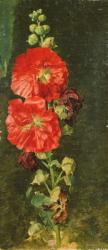 A Stockrose, 1827 (oil on canvas) | Obraz na stenu