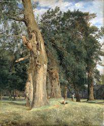 Old elms in Prater, 1831 (oil on panel) | Obraz na stenu