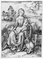 Madonna with the monkey (engraving) | Obraz na stenu