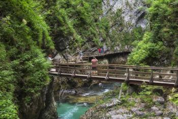 Visitors walking on wooden walkways which run the length of the Vintgar Gorge near Bled, Triglav, National Park, Upper Carniola, Slovenia (photo) | Obraz na stenu