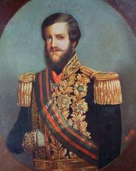 Pedro II (1825-91) Emperor of Brazil (oil on canvas) | Obraz na stenu