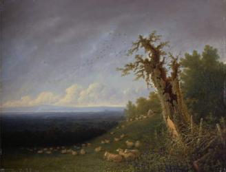 Shepherd Boy on a Hillside (oil on panel) | Obraz na stenu