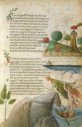 Fol. 62r, 'Almo Sol, quella fronde ch'io sol amo', from 'Canzoniere e Trionfi' by Petrarch, c.1470 | Obraz na stenu