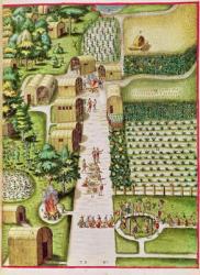 The Village of Secoton, from 'Admiranda Narratio...', published by Theodore de Bry (coloured engraving) | Obraz na stenu