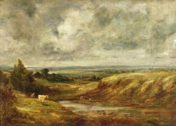 Hampstead Heath, c.1825-30 (oil on canvas) | Obraz na stenu