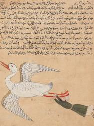 Ms E-7 fol.72a Merchant from Isfahan Flying, from 'The Wonders of the Creation and the Curiosities of Existence' by Zakariya-ibn Muhammed al-Qazwini (gouache on paper) | Obraz na stenu
