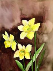 golden daffodils | Obraz na stenu