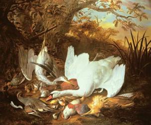 Still Life of Swan and Game in a Landscape | Obraz na stenu