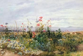 Wildflowers with a View of Dublin Dunleary (w/c on paper) | Obraz na stenu
