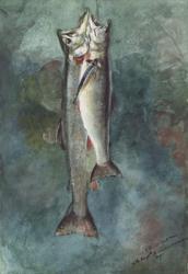 Two Trout, 1891 (w/c on paper) | Obraz na stenu
