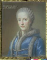 Countess Maria Josepha von Harrach, wife of Count Guido von Harrach (1732-83) | Obraz na stenu