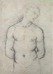 Saint Sebastian, 1499-1500 (black chalk on white paper) | Obraz na stenu