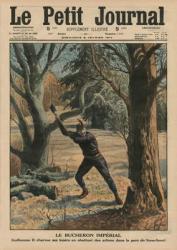 Imperial Woodcutter, Wilhelm II enjoying his leisure time by cutting trees in the park of Sanssouci, front cover illustration from 'Le Petit Journal', supplement illustre, 8th February 1914 (colour litho) | Obraz na stenu