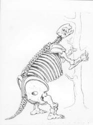Skeleton of a Mylodon (engraving) (b/w photo) | Obraz na stenu