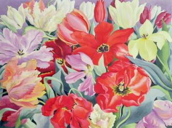 Massed Tulips, 2003 (w/c on paper) | Obraz na stenu