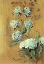 Hydrangeas (pastel on paper) | Obraz na stenu