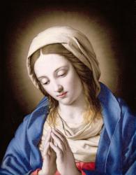 The Madonna Praying | Obraz na stenu