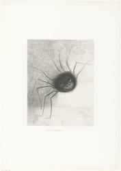 The Spider, 1887 (print) | Obraz na stenu