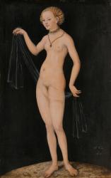 Venus, 1532 (oil and tempera on red beechwood) | Obraz na stenu