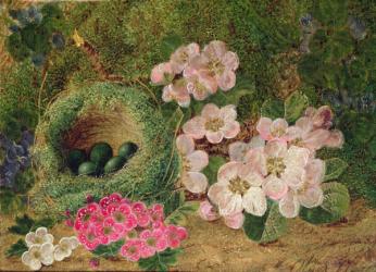 Primroses by a Bird's Nest (oil on canvas) | Obraz na stenu