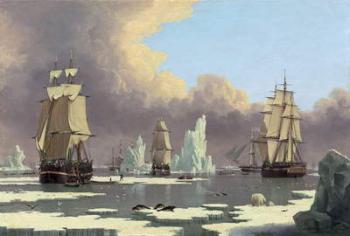 The Northern Whale Fishery: The "Swan" and "Isabella", c. 1840 (oil on canvas) | Obraz na stenu