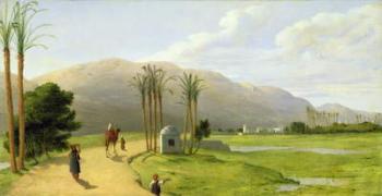 Asyut on the Nile, 1873 (oil on canvas) | Obraz na stenu