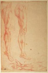 Studies of Legs and Arms (red chalk on paper) | Obraz na stenu