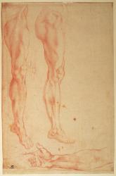 Studies of Legs and Arms (red chalk on paper) | Obraz na stenu