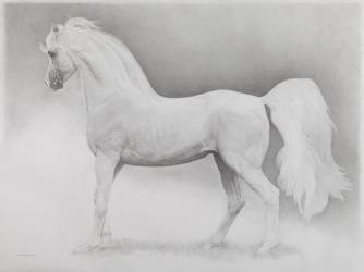 Moving Image, Series 2, 2013 (graphite on paper) | Obraz na stenu