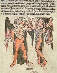 Gemini (the Twins) an illustration from the 'Poeticon Astronomicon' by C.J. Hyginus, Venice, 1485 (coloured woodcut) | Obraz na stenu