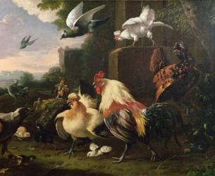 A cockerel and other fowl in a landscape | Obraz na stenu