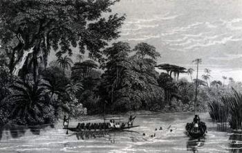 Canoes on the Niger River (engraving) | Obraz na stenu