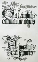 Inscriptions in Gothic script, the lower from the titlepage from 'Nine Sheets from the Apocalypse', pub. 1498 (woodcut) | Obraz na stenu