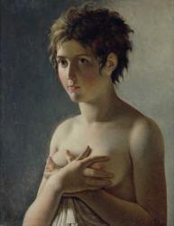 Portrait of a Young Girl, 1812 (oil on canvas) | Obraz na stenu