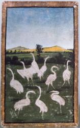 Herons in a field, one of a set of playing cards depicting scenes of courtly hawking, Upper Rhein Area, c.1440-45 (pen and ink, w/c) (see also 88300-04) | Obraz na stenu